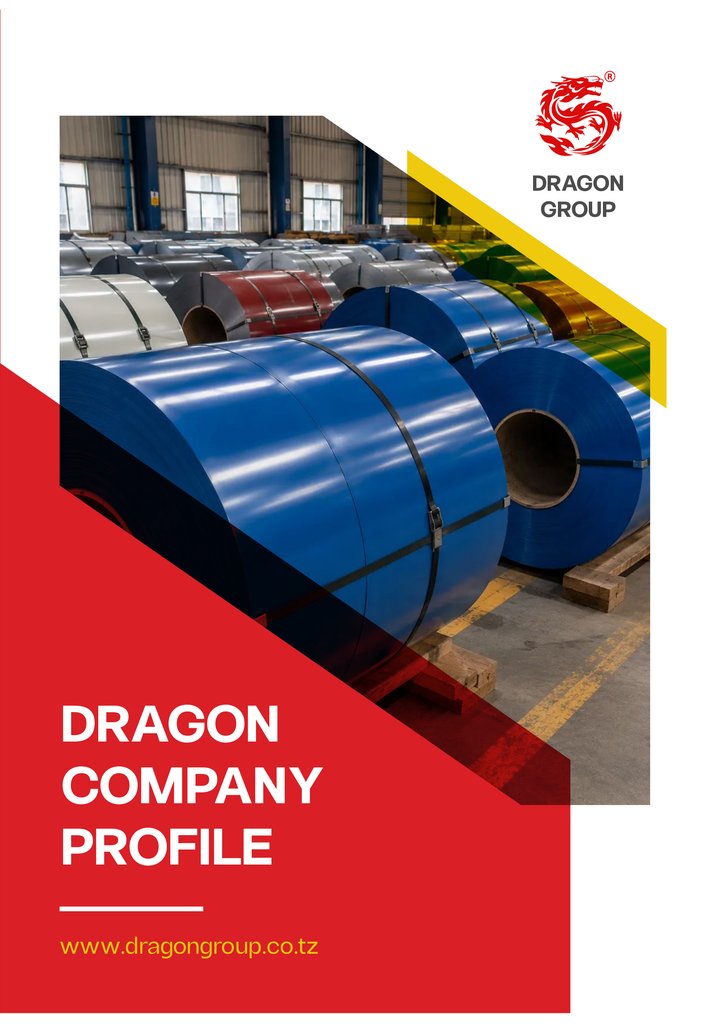 Cover of the Dragon Group company profile brochure 2026
